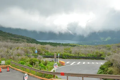 DSC_3708 (Large).JPG